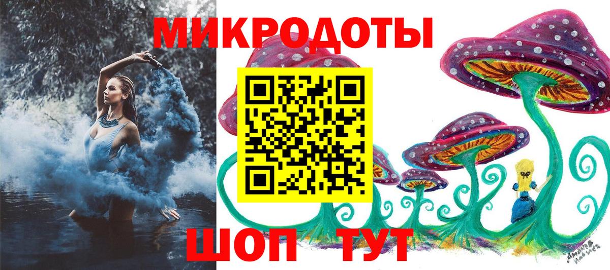 Псилоцибиновые грибы мухоморы Тамбов