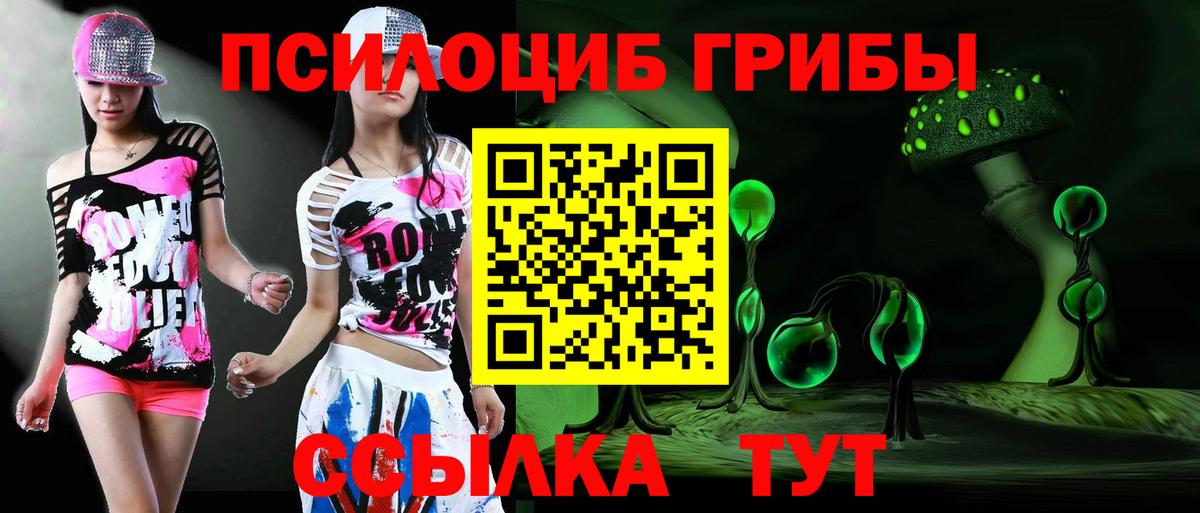 Тамбов  Псилоцибиновые грибы GOLDEN TEACHER  Вход с VPN 